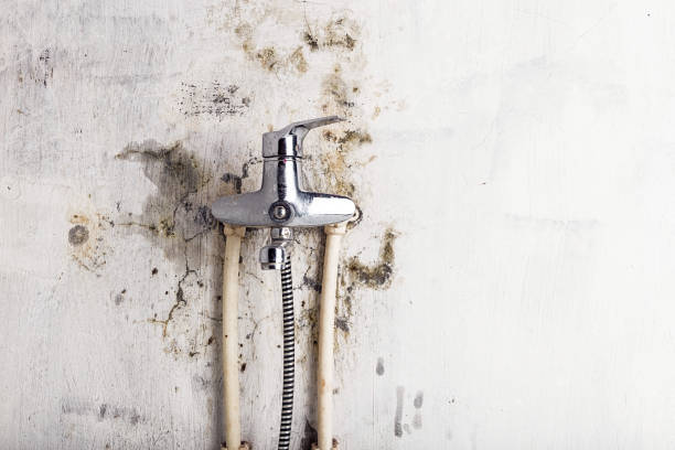 Best Post-Remediation Services in Blue Ridge, TX