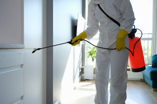 Best Commercial Mold Remediation in Blue Ridge, TX