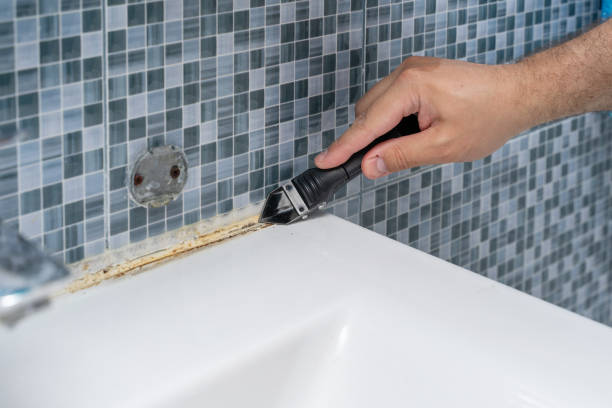 Best Health and Safety Mold Remediation in Blue Ridge, TX